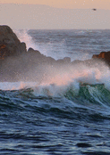 Vagues envo&ucirc;tantes aux reflets dor&eacute;s